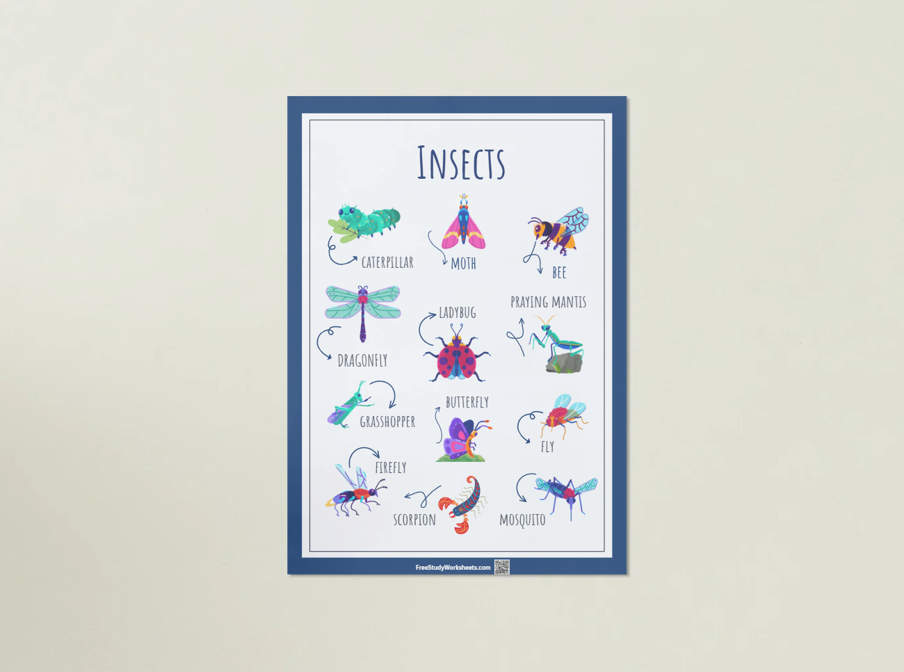 Insects Poster for kids